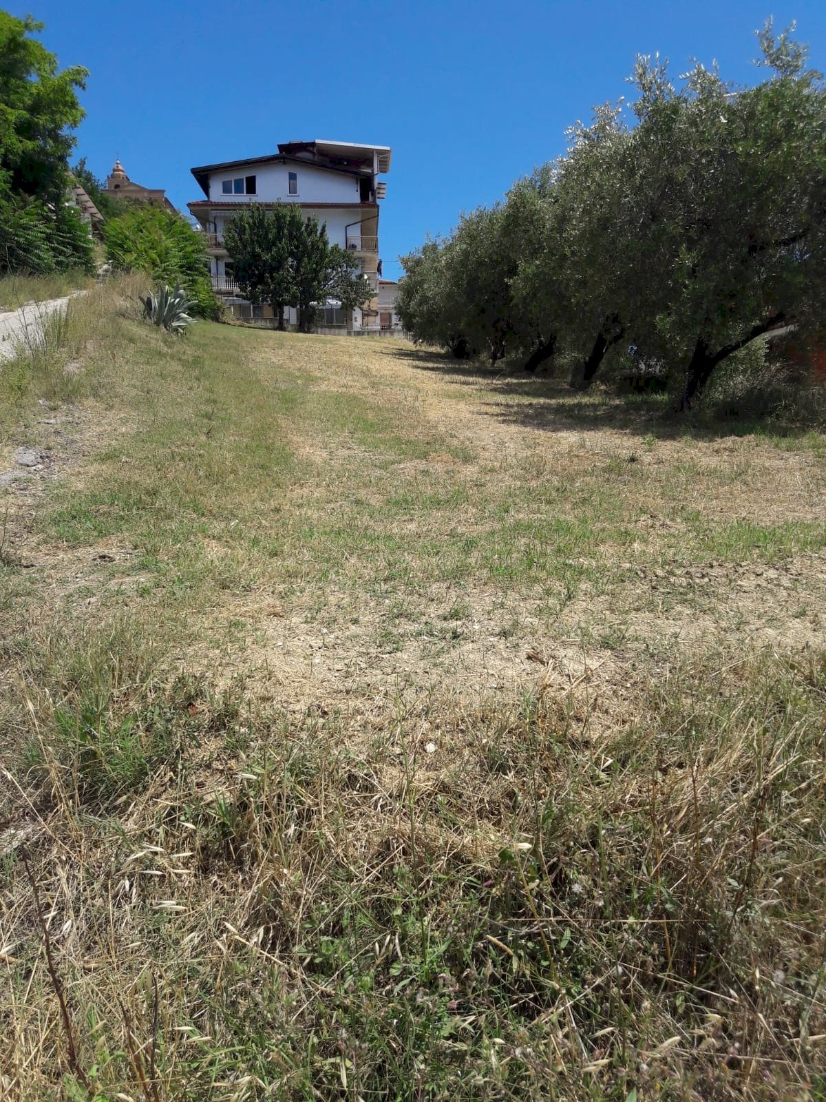 Foto 3 - Building land Via Bonarroti, Colonnella - photo 3