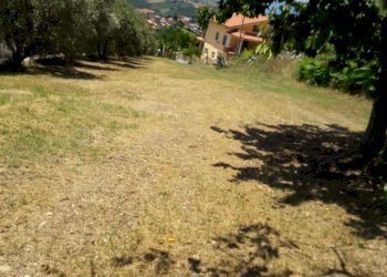 Foto 1 - Terreno edificabile Via Bonarroti, Colonnella - foto 1