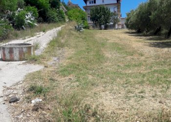 Foto 4 - Terreno edificabile Via Bonarroti, Colonnella - foto 4