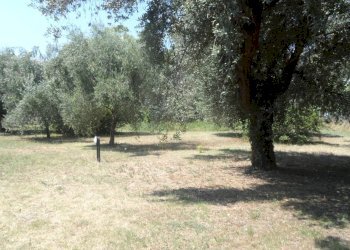 Foto 6 - Terreno edificabile Via Raffaello, Sant'Egidio alla Vibrata - foto 6