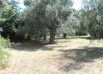 Foto 8 - Terreno edificabile Via Raffaello, Sant'Egidio alla Vibrata - foto 8