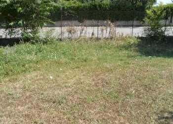 Foto 12 - Terreno edificabile Via Raffaello, Sant'Egidio alla Vibrata - foto 12