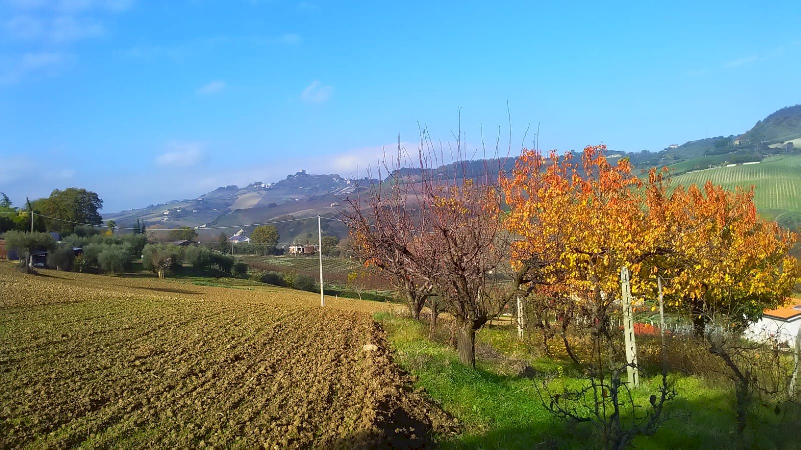 Foto 3 - Agricultural land contrada bora ragnola, Monteprandone - photo 3