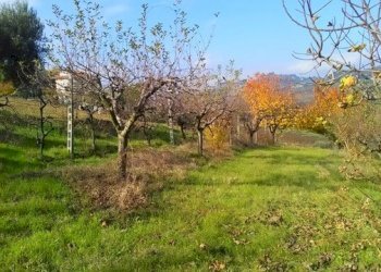 Foto 1 - Agricultural land contrada bora ragnola, Monteprandone - photo 1