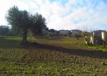 Foto 2 - Agricultural land contrada bora ragnola, Monteprandone - photo 2