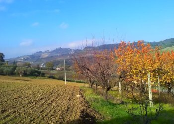 Foto 3 - Agricultural land contrada bora ragnola, Monteprandone - photo 3