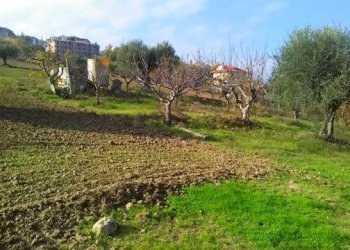 Foto 4 - Agricultural land contrada bora ragnola, Monteprandone - photo 4