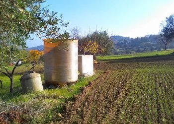 Foto 5 - Agricultural land contrada bora ragnola, Monteprandone - photo 5