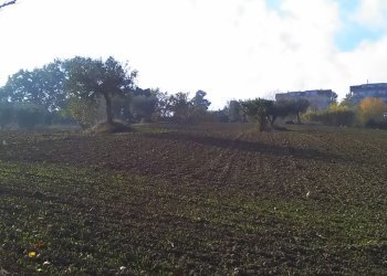 Foto 6 - Agricultural land contrada bora ragnola, Monteprandone - photo 6