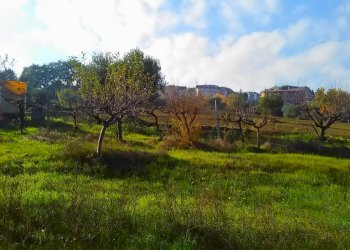 Foto 7 - Agricultural land contrada bora ragnola, Monteprandone - photo 7