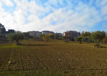 Foto 8 - Agricultural land contrada bora ragnola, Monteprandone - photo 8