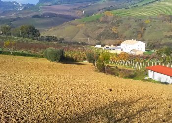 Foto 10 - Agricultural land contrada bora ragnola, Monteprandone - photo 10