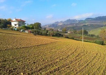 Foto 11 - Agricultural land contrada bora ragnola, Monteprandone - photo 11