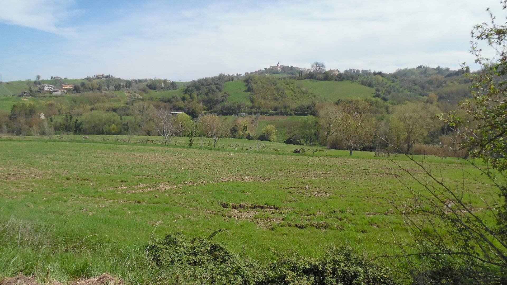 Foto 1 - Agricultural land Contrada Aso, Montefiore dell'Aso - photo 1