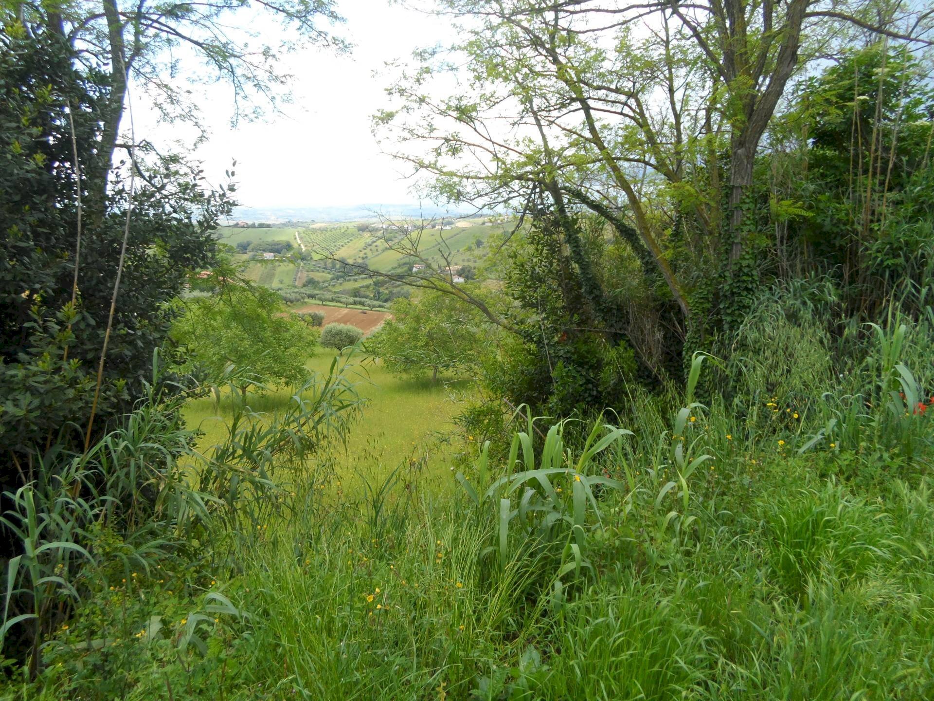 Foto 2 - Building land Contrada Rio Moro, Colonnella - photo 2