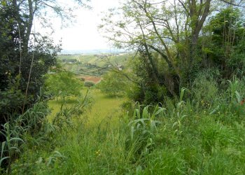 Foto 2 - Terreno edificabile Contrada Rio Moro, Colonnella - foto 2