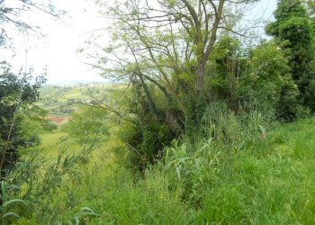 Foto 4 - Terreno edificabile Contrada Rio Moro, Colonnella - foto 4