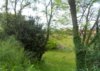 Foto 5 - Terreno edificabile Contrada Rio Moro, Colonnella - foto 5