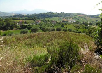 Foto 4 - Casa indipendente Contrada Fontanelle, Monsampolo del Tronto - foto 4