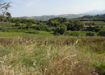 Foto 5 - Casa indipendente Contrada Fontanelle, Monsampolo del Tronto - foto 5