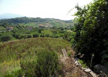 Foto 6 - Casa indipendente Contrada Fontanelle, Monsampolo del Tronto - foto 6