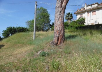 Foto 12 - Casa indipendente Contrada Fontanelle, Monsampolo del Tronto - foto 12
