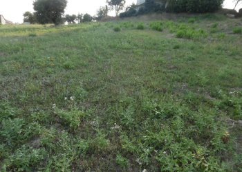 Foto 5 - Terreno edificabile Contrada San Martino, Colonnella - foto 5