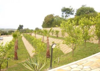 Foto 6 - Villa Contrada Rio Moro, Colonnella - foto 6