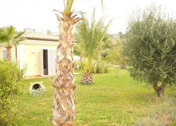 Foto 13 - Villa Contrada Rio Moro, Colonnella - foto 13