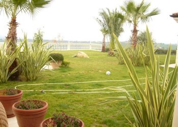 Foto 16 - Villa Contrada Rio Moro, Colonnella - foto 16