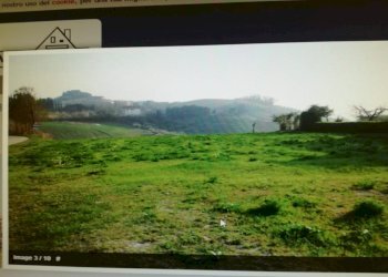 Foto 3 - Terreno agricolo Contrada Palazzi, Castorano - foto 3