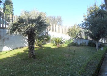 Foto 4 - Laboratorio Via Papa Urbano I, San Benedetto del Tronto - foto 4