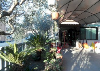 Foto 19 - Attività Commerciale Via San Martino, Grottammare - foto 19