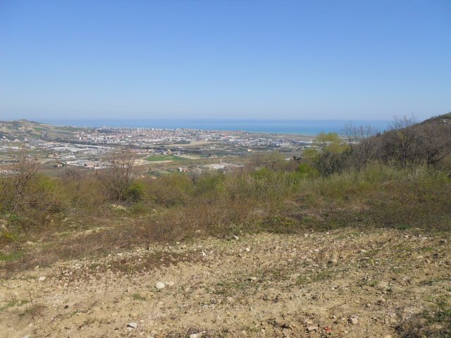 Foto 2 - Terreno agricolo Contrada Giardino, Colonnella - foto 2