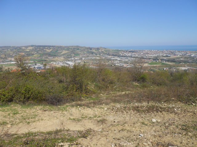 Foto 3 - Terreno agricolo Contrada Giardino, Colonnella - foto 3