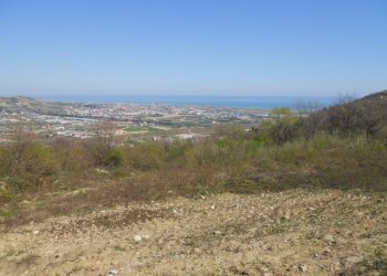 Foto 2 - Terreno agricolo Contrada Giardino, Colonnella - foto 2