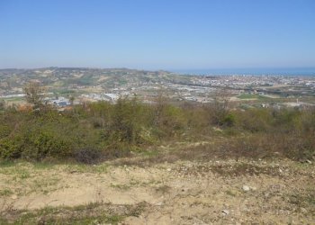 Foto 3 - Terreno agricolo Contrada Giardino, Colonnella - foto 3