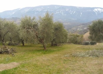 Foto 4 - Independent house Via Roma Frazione Capolavilla, Folignano - photo 4