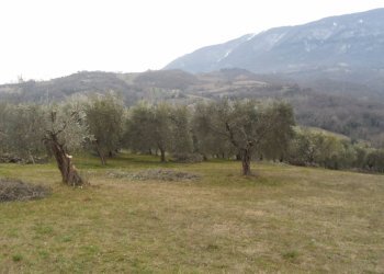 Foto 6 - Independent house Via Roma Frazione Capolavilla, Folignano - photo 6