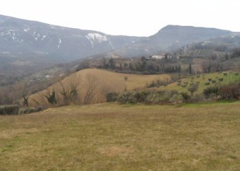 Foto 7 - Independent house Via Roma Frazione Capolavilla, Folignano - photo 7