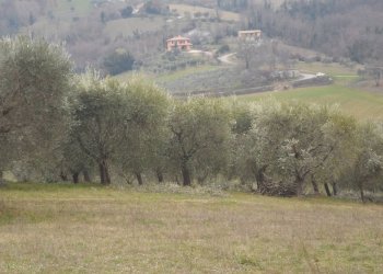 Foto 9 - Independent house Via Roma Frazione Capolavilla, Folignano - photo 9