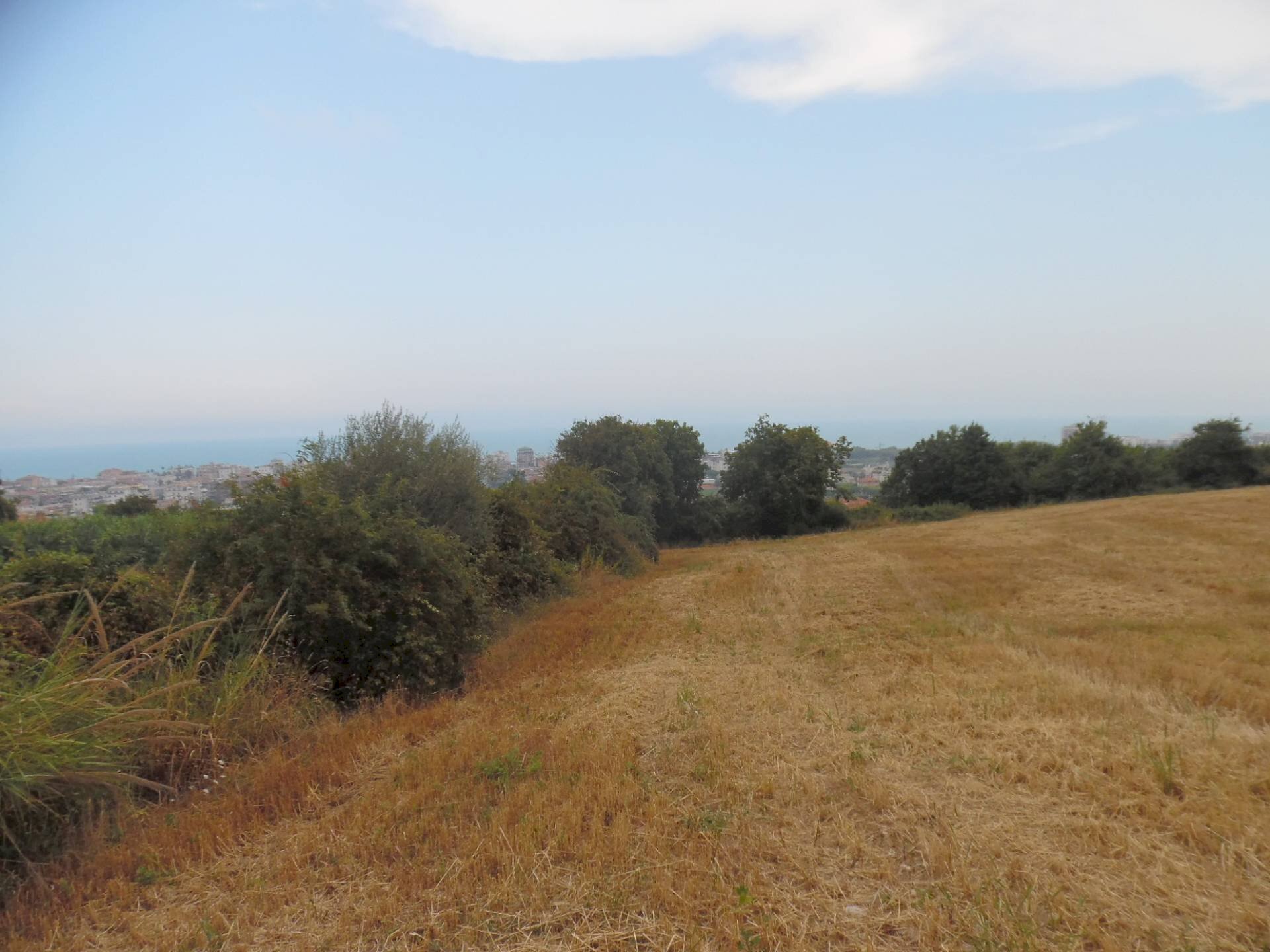 Foto 2 - Terreno agricolo Via dei Lauri, San Benedetto del Tronto - foto 2