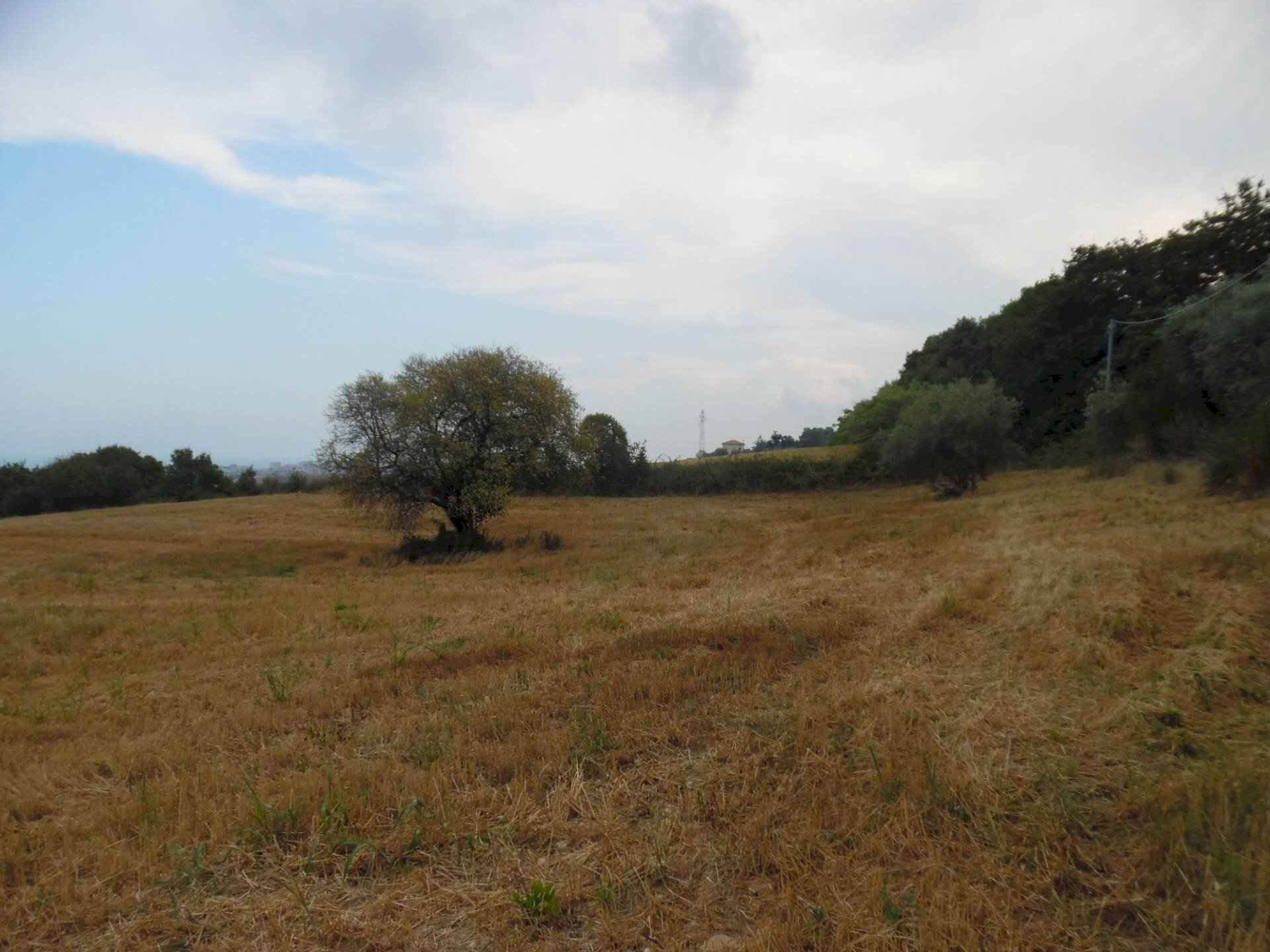 Foto 3 - Terreno agricolo Via dei Lauri, San Benedetto del Tronto - foto 3