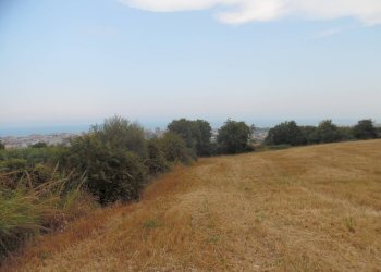 Foto 2 - Terreno agricolo Via dei Lauri, San Benedetto del Tronto - foto 2