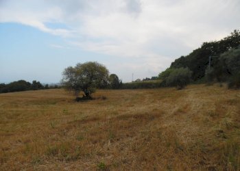 Foto 3 - Terreno agricolo Via dei Lauri, San Benedetto del Tronto - foto 3
