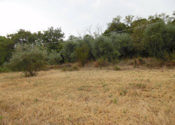 Foto 4 - Terreno agricolo Via dei Lauri, San Benedetto del Tronto - foto 4