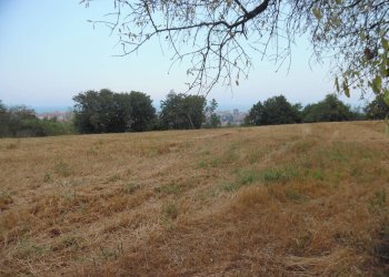 Foto 5 - Terreno agricolo Via dei Lauri, San Benedetto del Tronto - foto 5