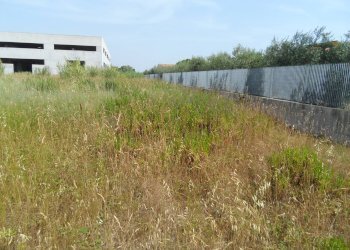 Foto 4 - Terreno edificabile Via Pasubio, San Benedetto del Tronto - foto 4