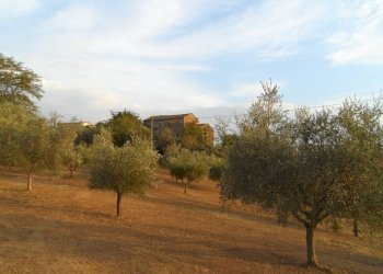 Foto 1 - Terreno agricolo Contrada San Silvestro, Castorano - foto 1