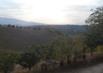 Foto 5 - Terreno agricolo Contrada San Silvestro, Castorano - foto 5